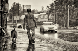 In the rain ... / ***