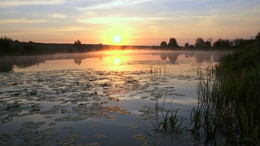 Morgendämmerung / ***