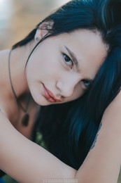 &nbsp; / ***