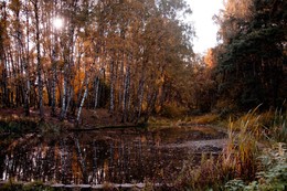 Herbstfarben / ***