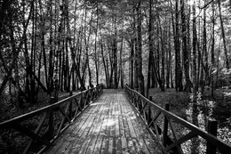 Autumn road / ***