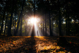 Unter der Sonne / ***