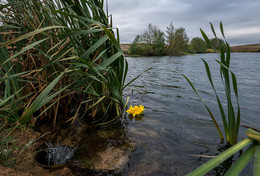 Schwimmbecken / ***