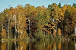 At the pond / ***