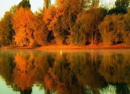 The smell of autumn / ***