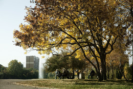 The smell of autumn / ***