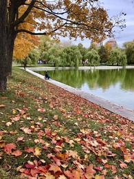Der Geruch des Herbstes / ***