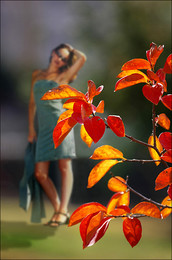 The smell of autumn / ***