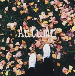The smell of autumn / ***