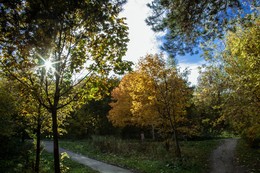 The smell of autumn / ***