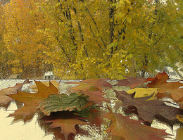 The smell of autumn / ***