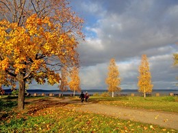 The smell of autumn / ***