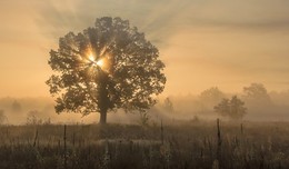October Morning / ***