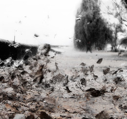 The smell of autumn / ***