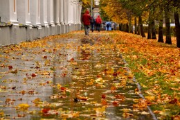 The smell of autumn / ***