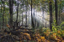 Der Geruch des Herbstes / ***
