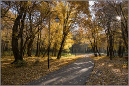 The smell of autumn / ***