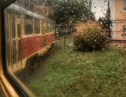 Der Geruch des Herbstes / ***
