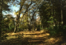 Im alten Park / ***