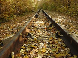Der Geruch des Herbstes / ***