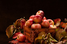 The smell of autumn / ***