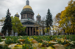 The smell of autumn / ***