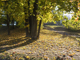 The smell of autumn / ***