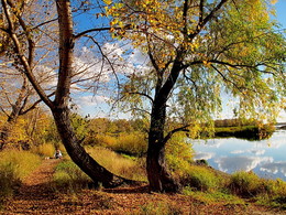 Herbst / https://www.youtube.com/watch?v=ubm47Qkap9c