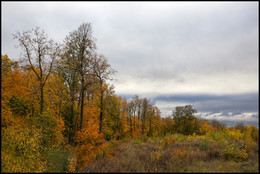 Herbst-Skizzen / ***