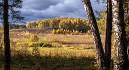 Birch Grove / ...
