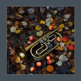 &nbsp; / music: Charlie Parker - Parker's Mood
https://www.youtube.com/watch?v=tGxzybOy3_M