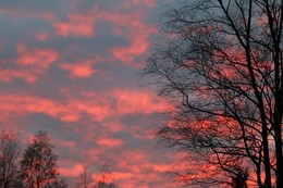 Sunset / ***