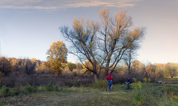 Evening biking / ***