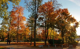 gold autumn / ***