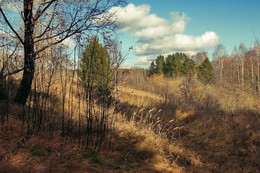 Herbst / ***