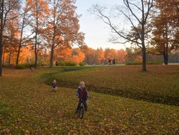 Autumn walk / ***