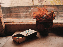 Front of the window / ***