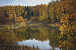Visiting fall / ***