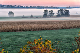 autumn mist / ***