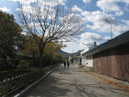 Tote Saison / [img]https://live.staticflickr.com/65535/48375462407_056255d43e_o.jpg[/img]

[img]https://live.staticflickr.com/65535/48375322126_ea829846da_o.jpg[/img]