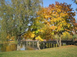 colors of autumn / ***
