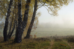 Autumn sadness / ***