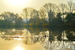 Schwimmbecken / ***