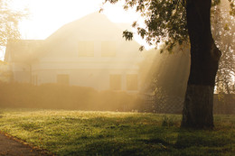 im Herbstnebel / ***