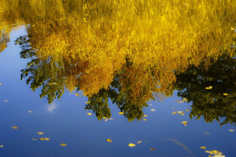 Spiegelung / ***