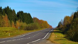 Autumn road / ***