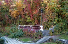 Herbstfarben ... / ***