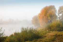 Pride of the morning / ***