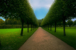 Im Herbst Park / ***