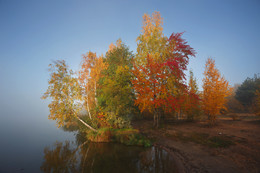 all the colors of autumn / ***